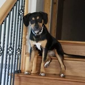 Meet your Posher, Tami